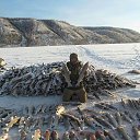 ���� ������, ������, 56 ��� - ��������� 3 ���� 2016 � ������ ���� ����������