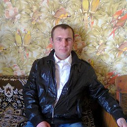 ���� ������, ��������, 41 ��� - ��������� 18 ������ 2016