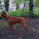 ���� �������, �����-���������, 62 ���� - ��������� 17 ��� 2016 � ������ ������ ��������