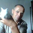 ���� ³����, ������, 53 ���� - ��������� 1 ������� 2016 � ������ ���� ����������