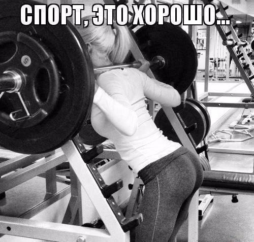 ����� � ����� | ������ ������� - 17 ��� 2016 � 18:02