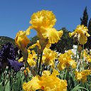  , , 60  -  16  2016    ,,18.05.16.