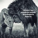 ���� *����������!!! 134, ��������� - ��������� 15 ������ 2016 � ������ ���� ����������