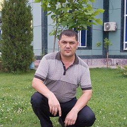 ������, ������, 46 ���