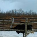 ���� �������, ���������, 53 ���� - ��������� 20 ����� 2016 � ������ �1�