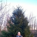 ���� ������, �����������, 76 ��� - ��������� 21 ��� 2016 � ������ ���� ����������