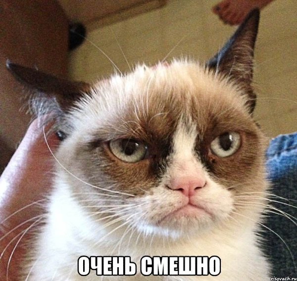 Анекдоты на ночь. Три женщины беседуют. Первая: — Вот мой муж пил, пил и спился… Вторая: — А у меня ...