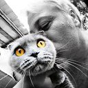 �� � ���������� ��������� �� ������� ���� ����������