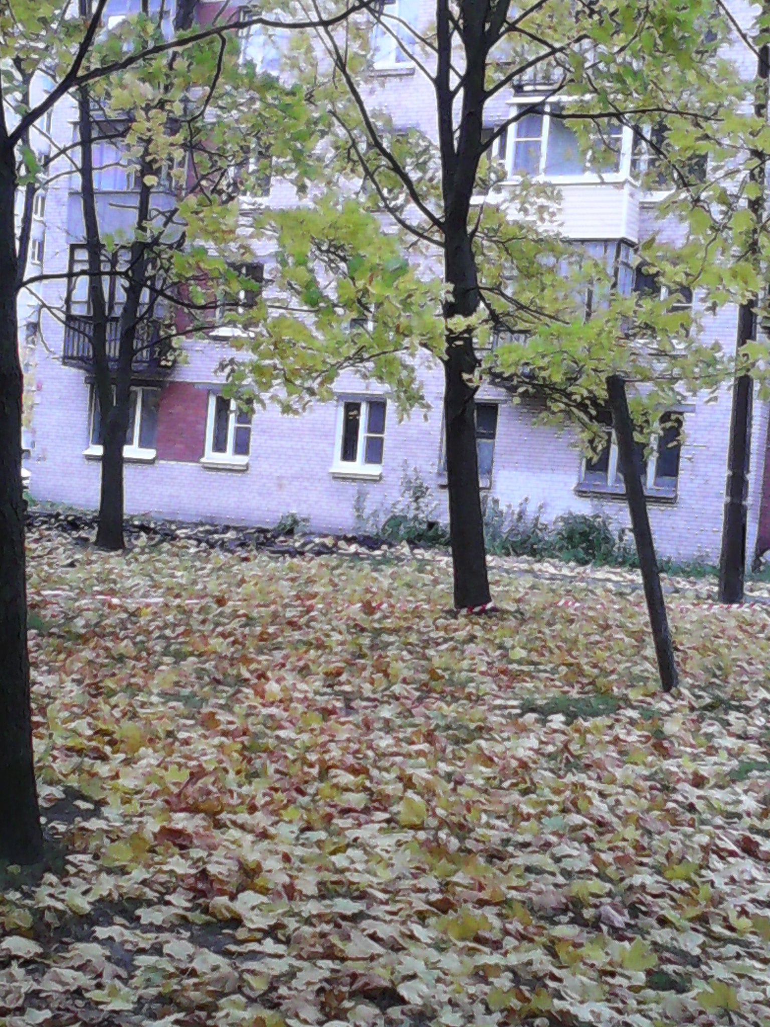  Chebotar-galaktionova - 24  2016  03:52 - 14