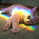 ���� �����, ������������, 55 ��� - ��������� 29 ����� 2016 � ������ ���� ����������