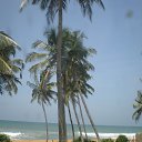 ���� ��������, ��������, 59 ��� - ��������� 23 ����� 2016 � ������ ���� ����������