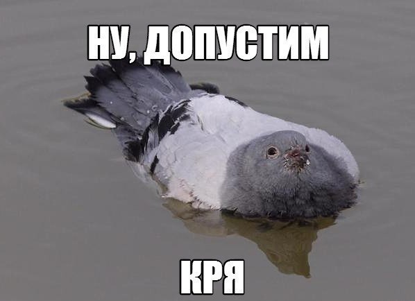    :D - 12  2016  00:38