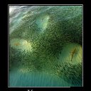 ���� �������, ���� - ��������� 23 ������� 2016 � ������ ������ ��������