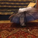 ���� Lera, ������, 65 ��� - ��������� 20 ��� 2016 � ������ ������ ��������