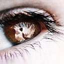 ���� �����, �������� - ��������� 5 �������� 2016 � ������ ���� ����������