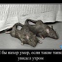 ���� �������, ����, 51 ��� - ��������� 22 ��� 2016 � ������ ������ ��������