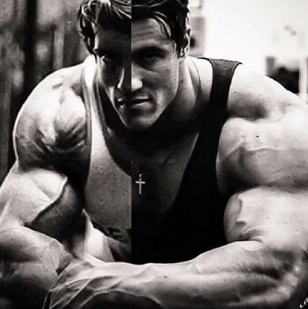 Arnold Schwarzenegger & alum Von moger