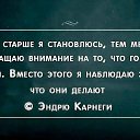 ���� �����, ����, 52 ���� - ��������� 1 ������ 2016 � ������ ������ ��������