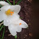 ���� ������, �����, 55 ��� - ��������� 23 ����� 2016 � ������ ���� ����������