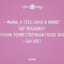 ���� ������, �����������, 66 ��� - ��������� 7 ������ 2016 � ������ ������ ��������