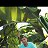 ���� Andy, ������, 56 ��� - ��������� 21 ��� 2016