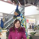 ���� �������, ���������, 39 ��� - ��������� 5 �������� 2016 � ������ ���� ����������