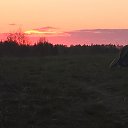 ���� �����, �����-���������, 43 ���� - ��������� 14 ���� 2016 � ������ ���� ����������