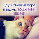 ���� ������, ��������, 53 ���� - ��������� 15 ������� 2016 � ������ ������ ��������