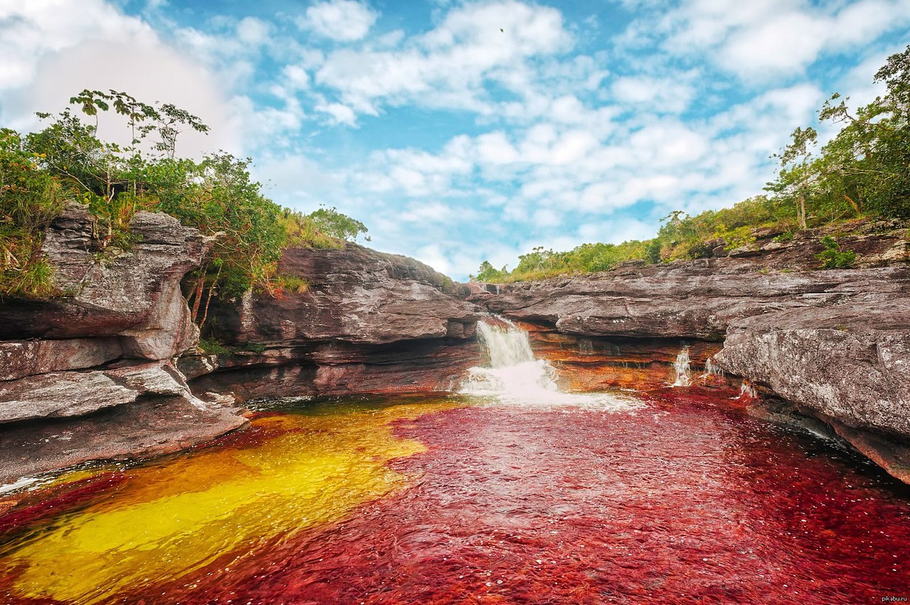   (Cano Cristales -  )    . - 5