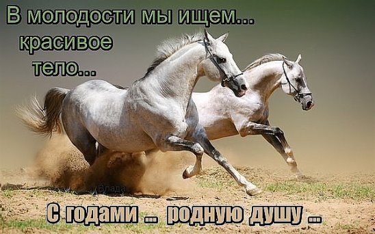 .https://fotostrana.ru/away?to=/sl/kxC2 - 21  2016  20:40