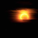  Karen, , 53  -  23  2016    