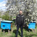 ���� ���������, �������, 36 ��� - ��������� 2 ��� 2016