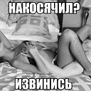 ���� ���, �����������, 42 ���� - ��������� 15 ������� 2016