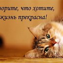 ���� ����, ������, 44 ���� - ��������� 11 ������ 2016 � ������ ������ ��������
