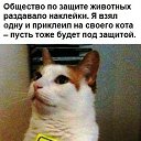 ���� ������, ������ - ��������� 5 ��� 2016 � ������ ������ ��������