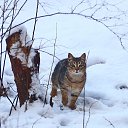 ���� �������, �����-���������, 55 ��� - ��������� 3 ������� 2016 � ������ ��������