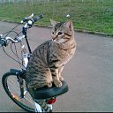 ���� ������, �����, 63 ���� - ��������� 11 ������ 2016 � ������ ���� ����������