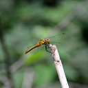 ���� ������, ��������, 62 ���� - ��������� 6 ���� 2016 � ������ ���� ����������