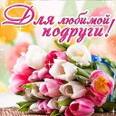 ���� ����, �����������, 57 ��� - ��������� 22 ���� 2016 � ������ �������� ��������