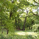 ���� �����, ������, 59 ��� - ��������� 9 ���� 2016 � ������ ���� ����������