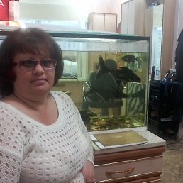 ���� �����, �������, 61 ��� - ��������� 27 ��� 2016