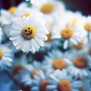 ���� �������, ���������, 46 ��� - ��������� 18 ��� 2016 � ������ ������ ��������