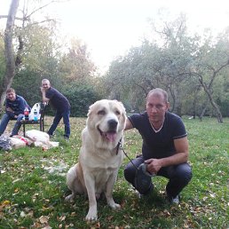 ������, ������, 52 ����