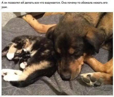 ������� ��������� �����������... - 3