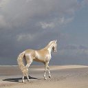 ���� ��������, ������, 41 ��� - ��������� 9 ������ 2016 � ������ ������ ��������