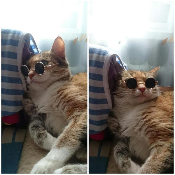 ����� ����������, ��� �� ����� ���������