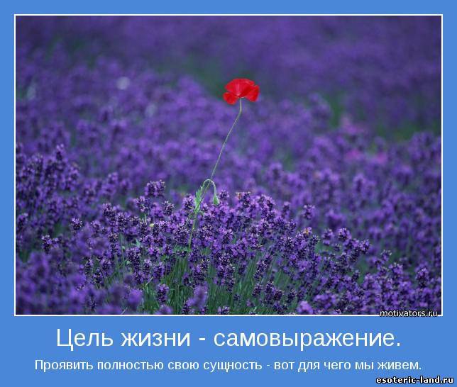 Проявить полностью. Цель жизни самовыражение. Мотиваторы про жизнь со смыслом. Яркие краски цитаты. Мотиватор для жизни.