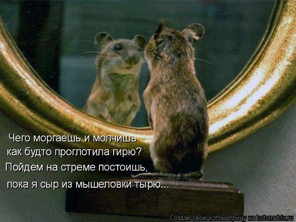 ������ - 3 ���� 2016 � 19:13