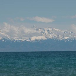 ���� ����, ������ ��������, 43 ���� - ��������� 30 ������� 2016