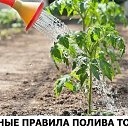 ���� ����, ������ - ��������� 27 ������ 2016 � ������ ������ ��������